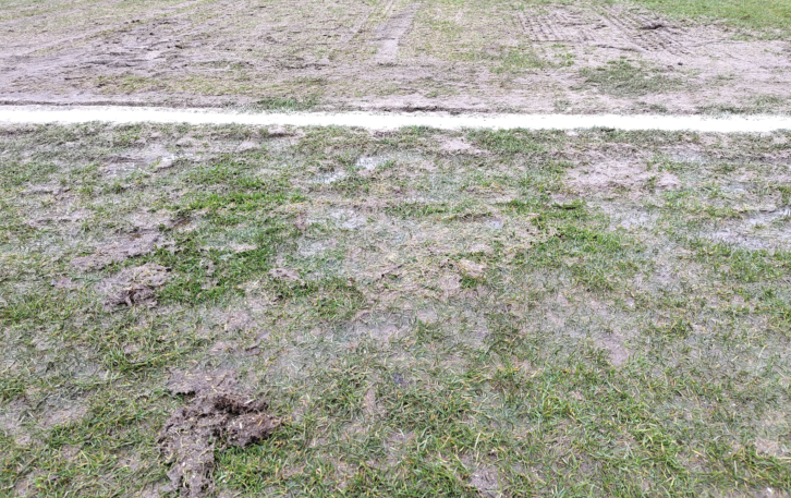 18dab4f9 04c2 4337 936f 7a9d10434d98